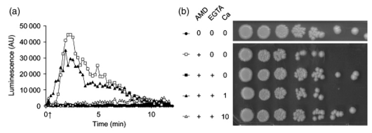 Fig. 5