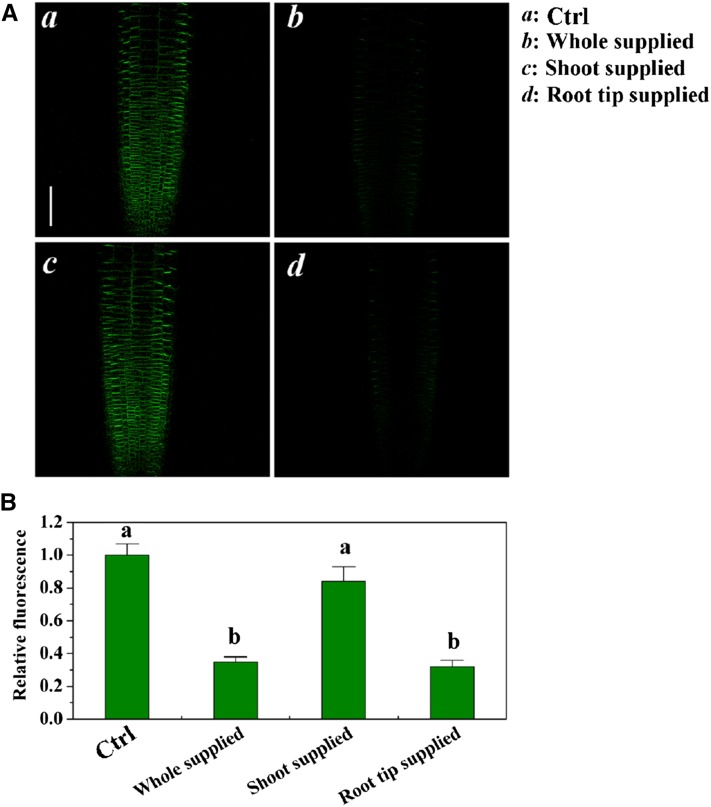 Figure 7.