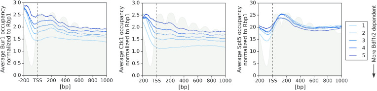 Figure 6—figure supplement 3.