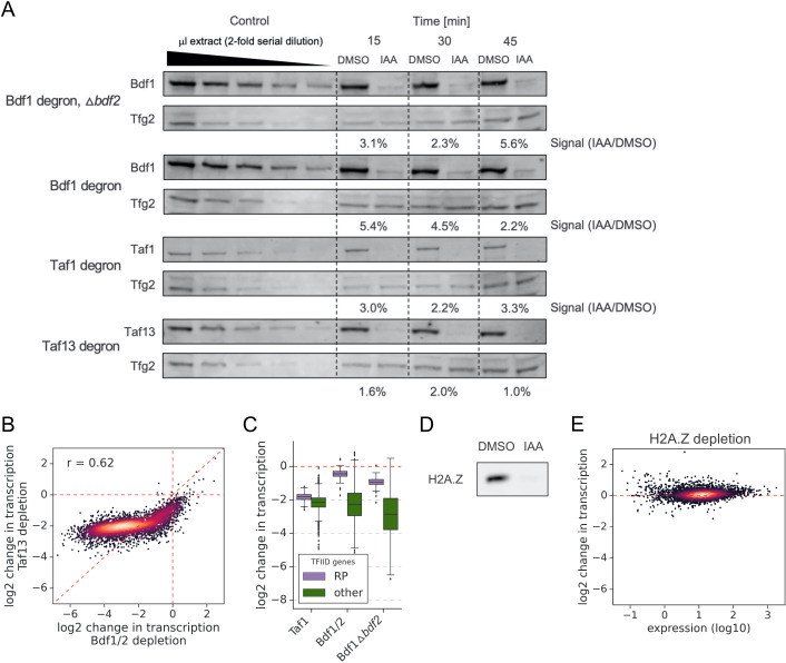 Figure 1—figure supplement 2.