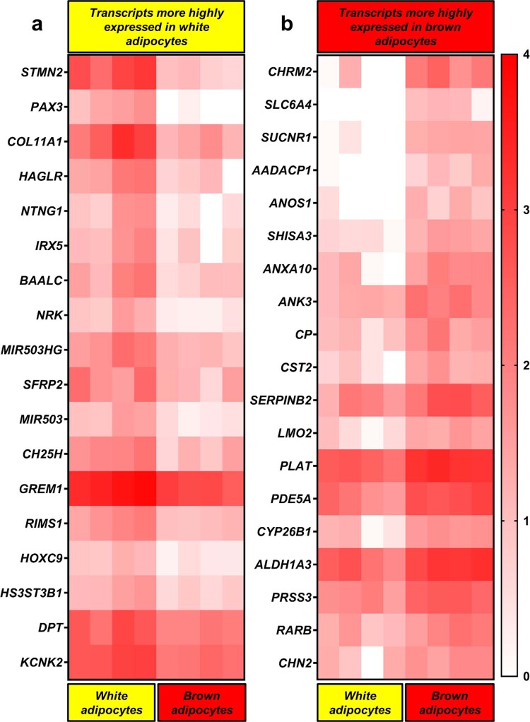 Extended Data Fig. 1