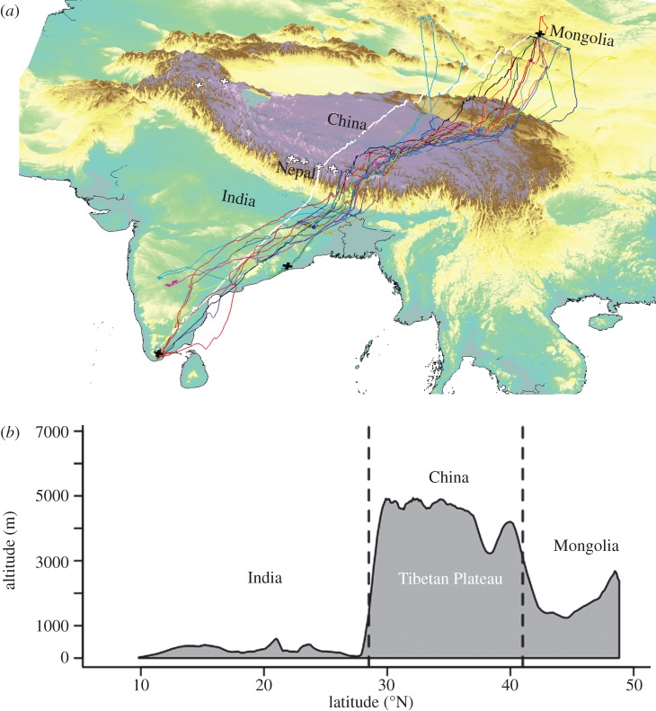 Figure 1.