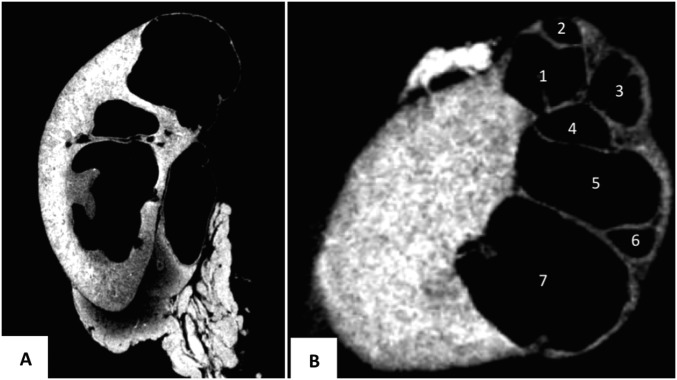 Fig. S3.