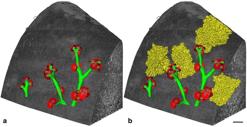 Fig. 8