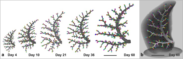 Fig. 9