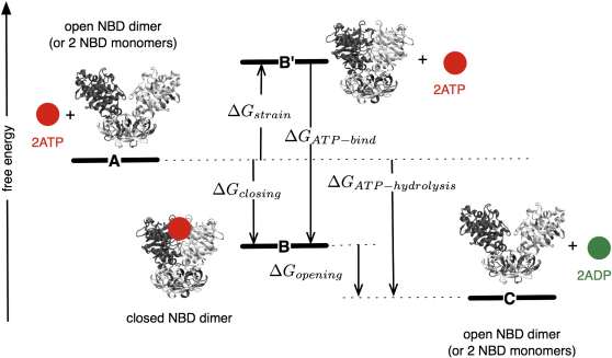 Figure 5