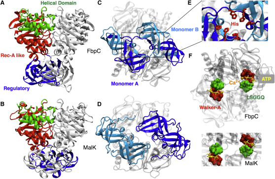 Figure 1