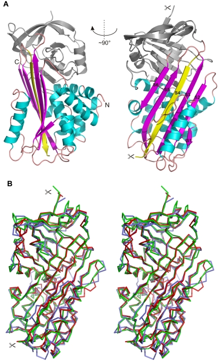 Figure 7