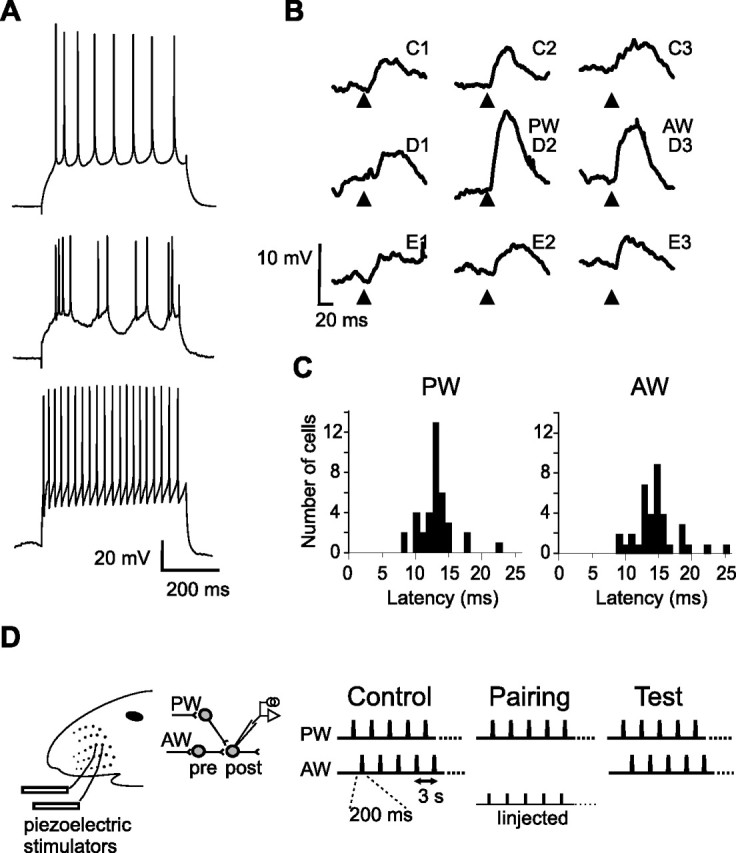 Figure 5.