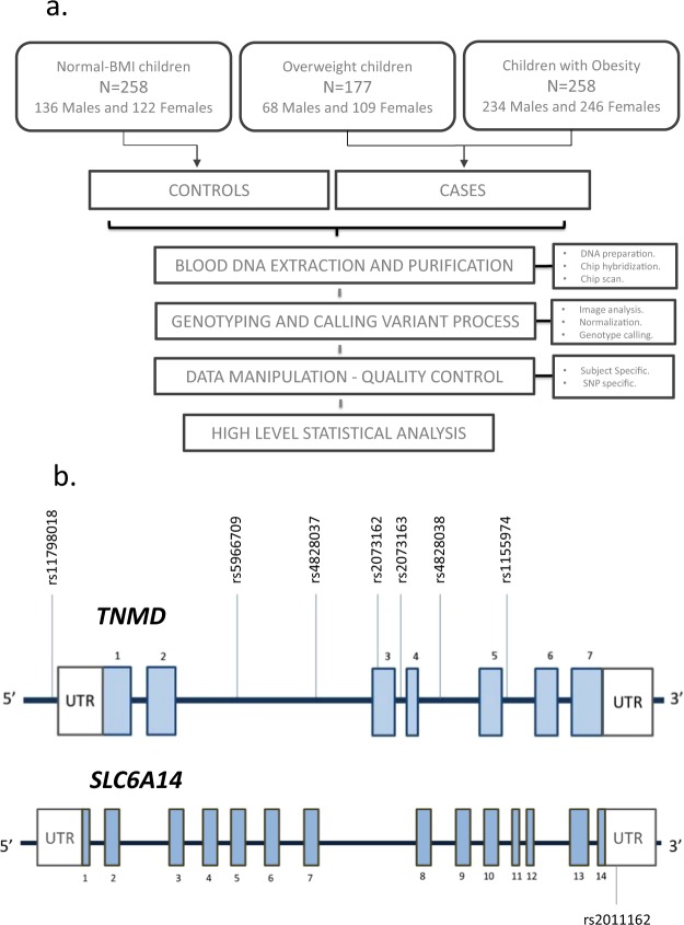 Fig 1