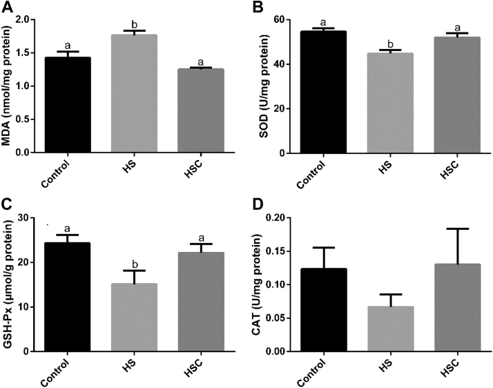 Figure 4