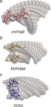 Fig. 1