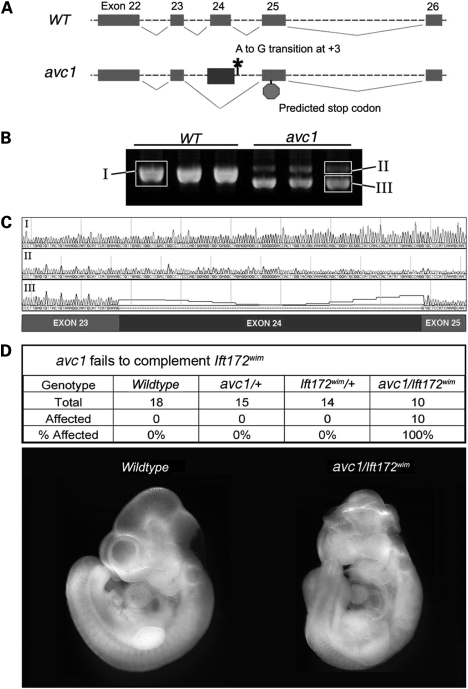 Figure 2.