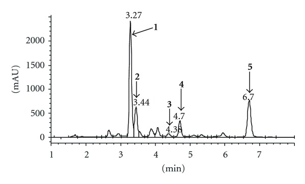 Figure 7