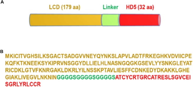 FIGURE 1