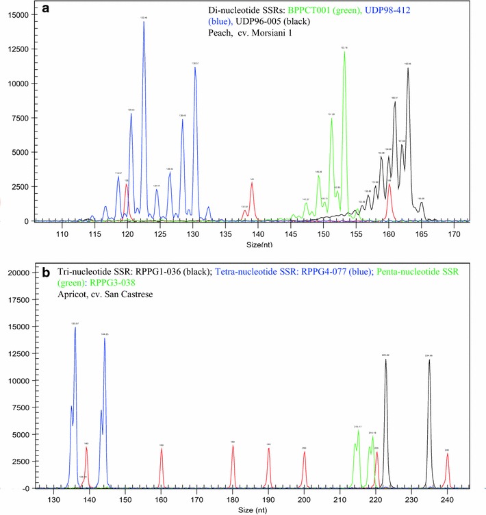 Figure 3