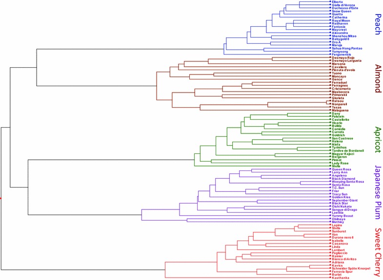 Figure 1