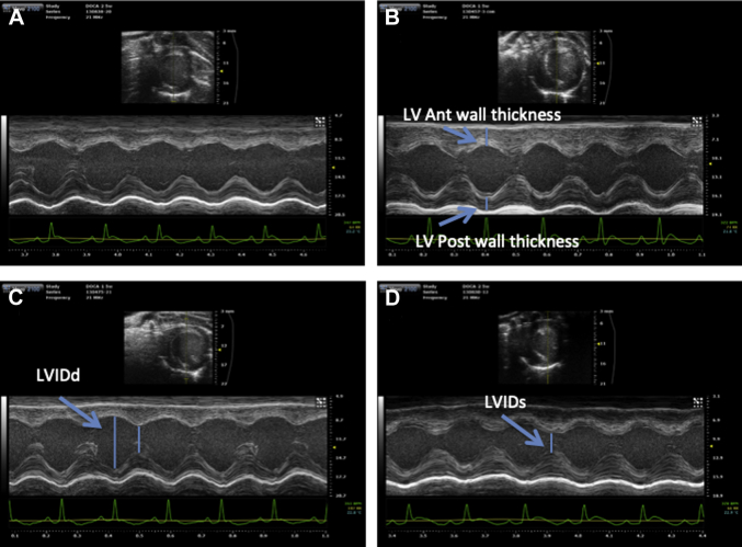 Figure 2