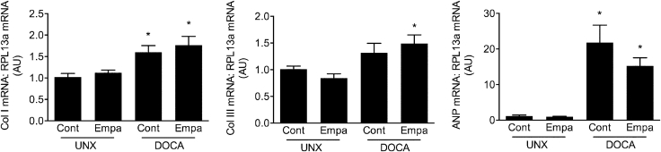 Figure 5