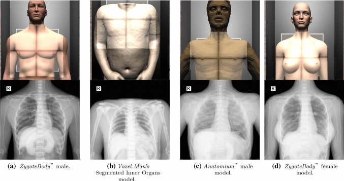 Interactive teaching environment for diagnostic radiography with real ...