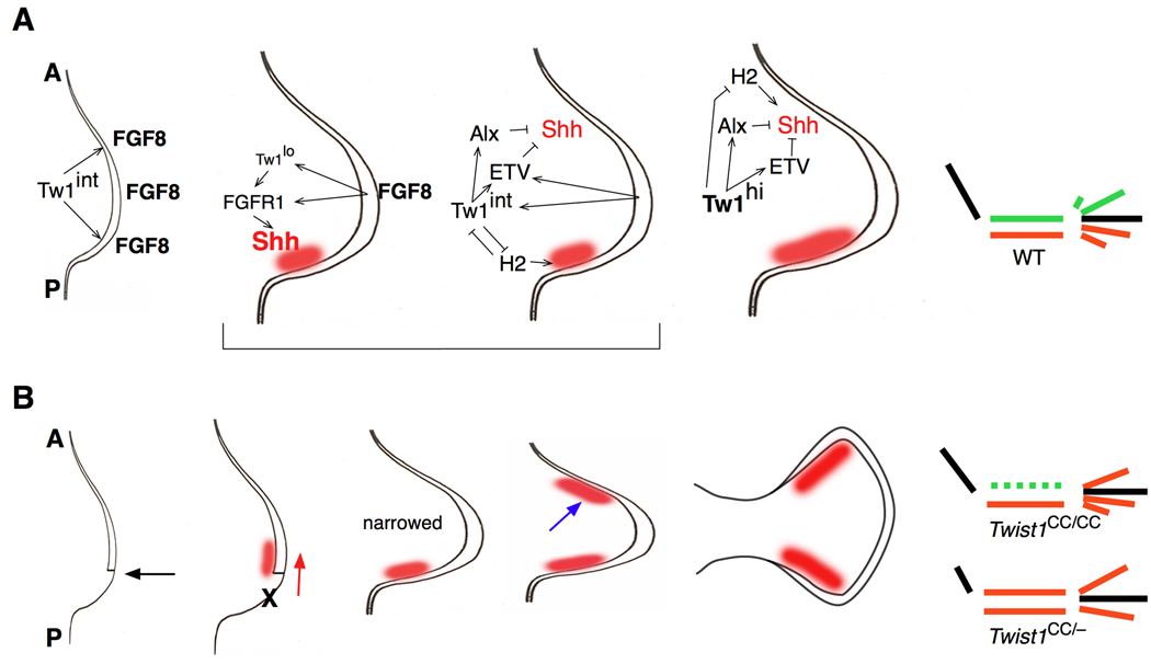 Figure 8