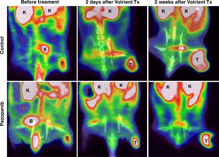 Figure 4a: