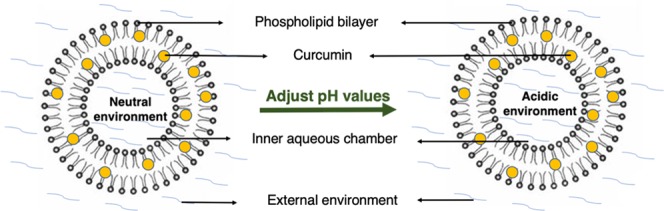 graphic file with name ao9b03293_0002.jpg