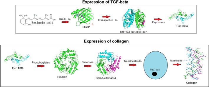 FIGURE 2