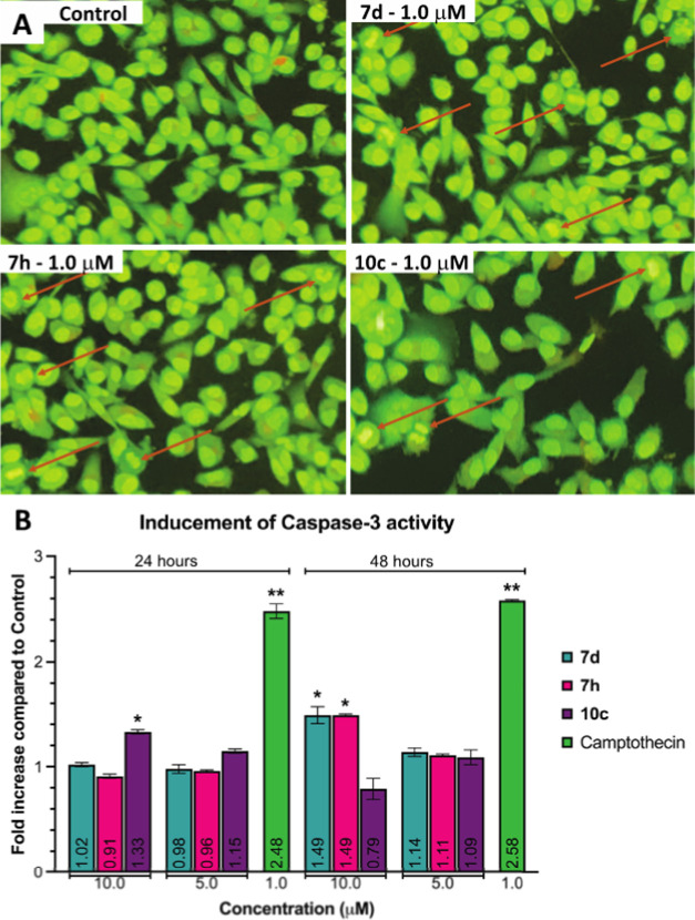 Figure 7