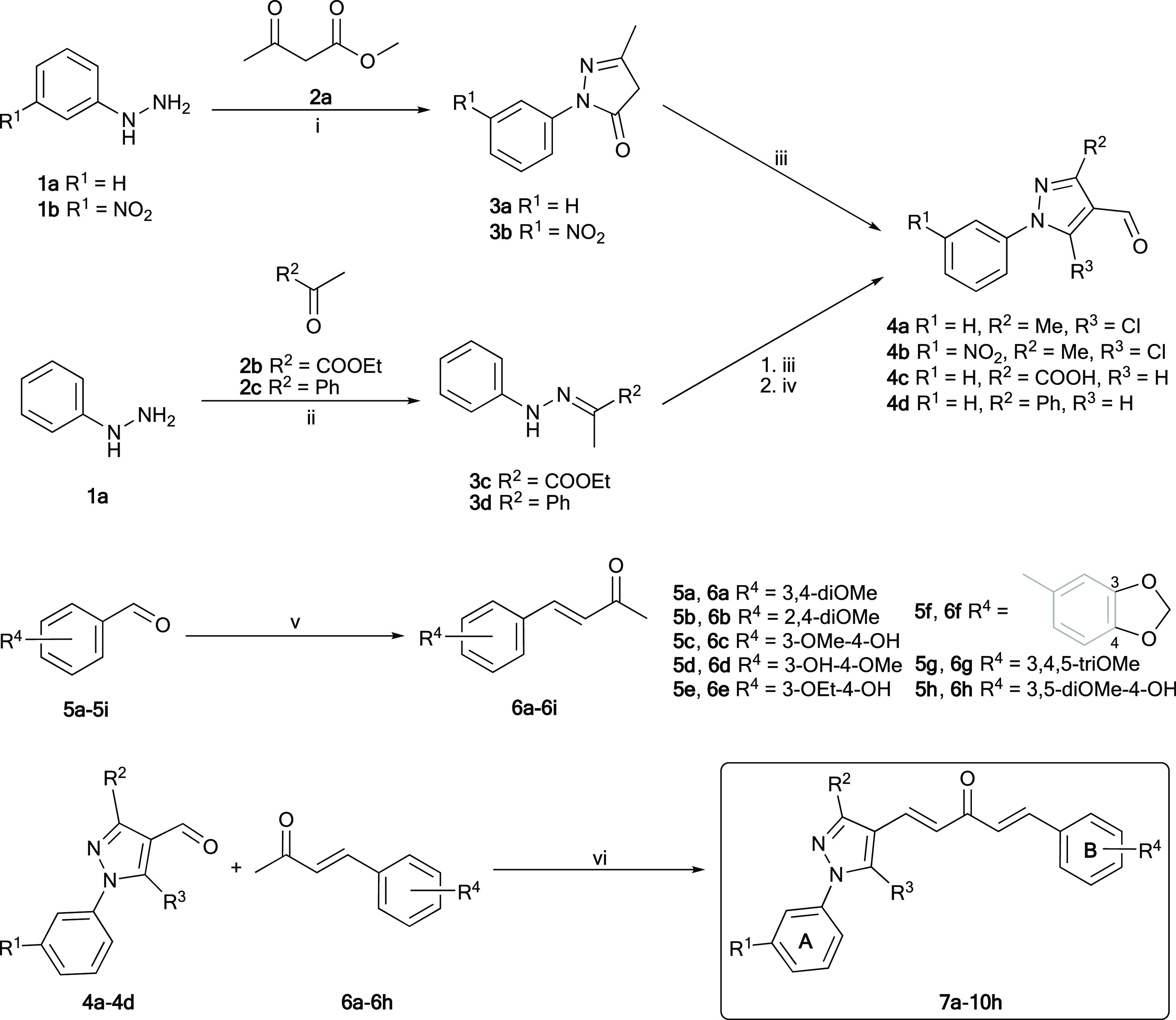 Scheme 1