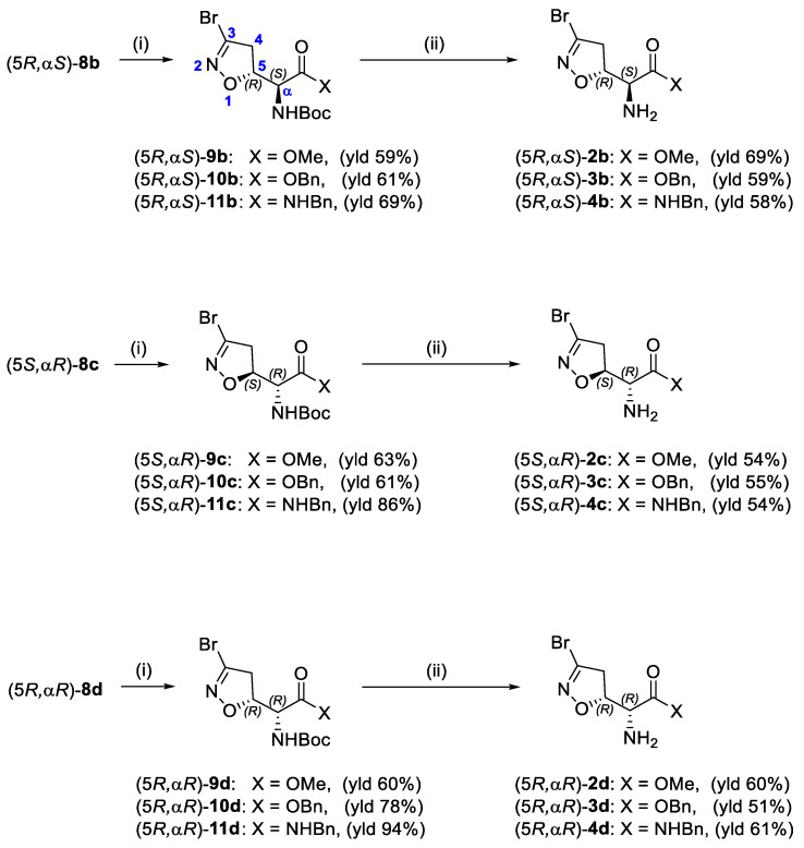 Scheme 2