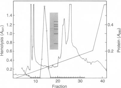 graphic file with name pnas00364-0366-a.jpg