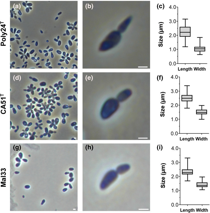 Fig. 3