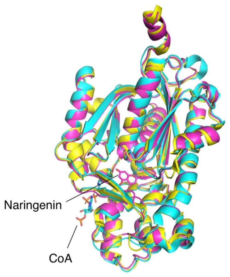 Figure 2