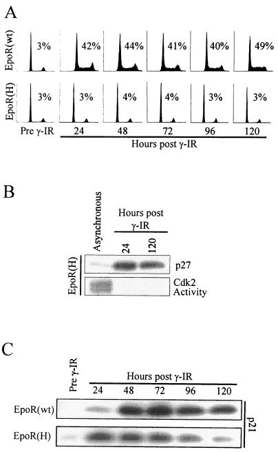 FIG. 6