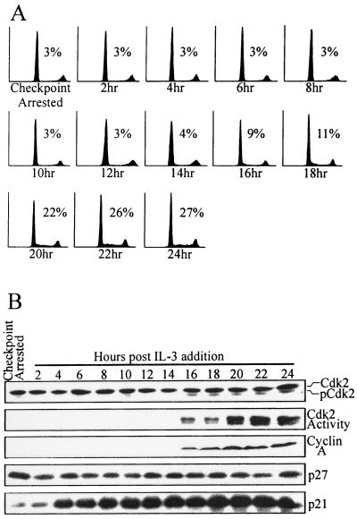 FIG. 7