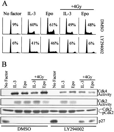 FIG. 5