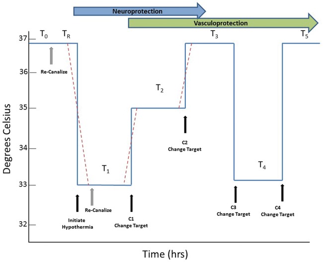 Figure 7.