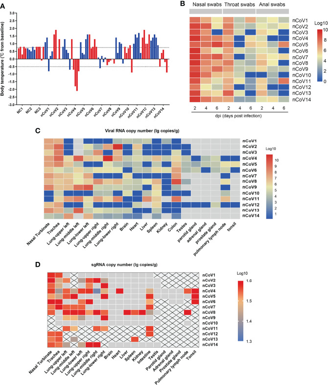 Figure 2