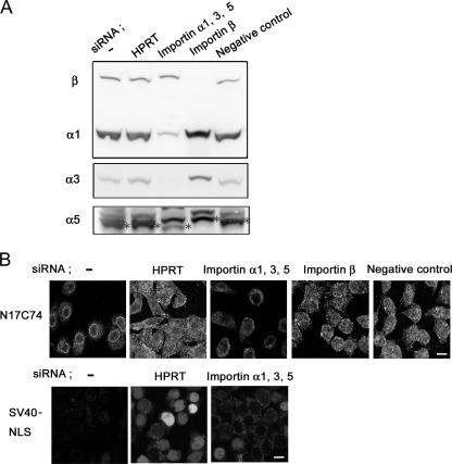 FIG. 5.