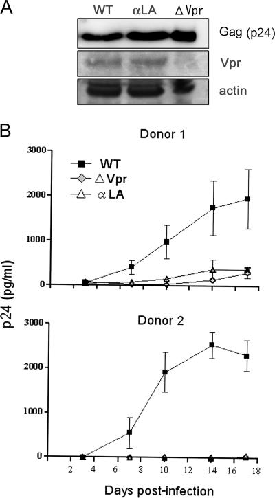 FIG. 7.