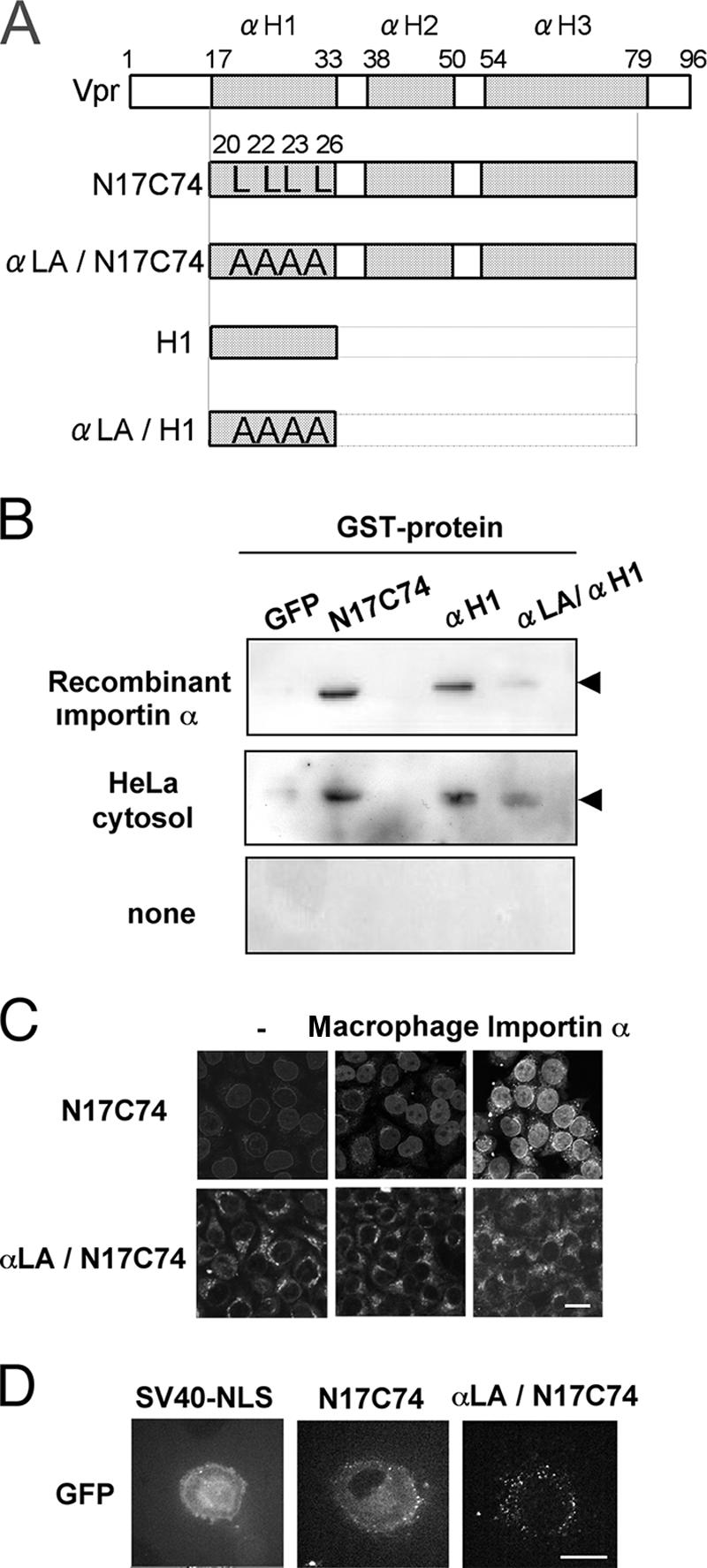 FIG. 6.