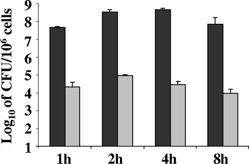 FIG. 5.