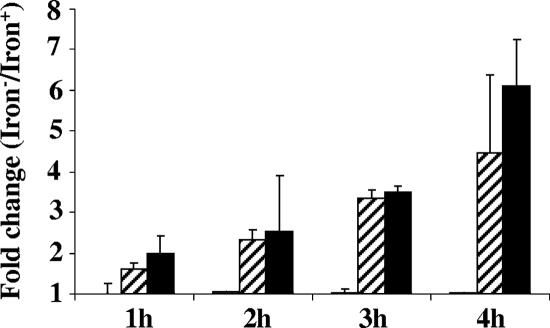 FIG. 3.