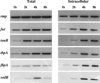 FIG. 6.