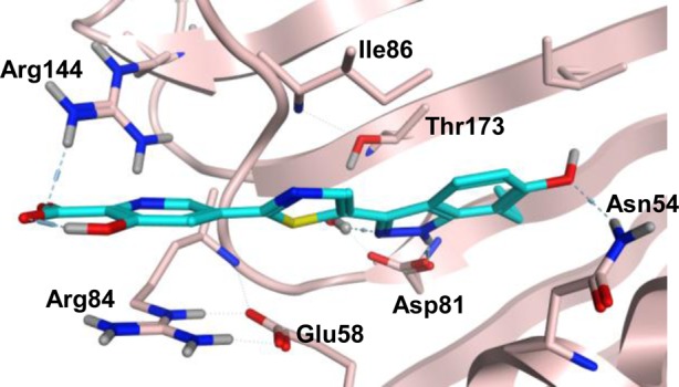 Figure 4