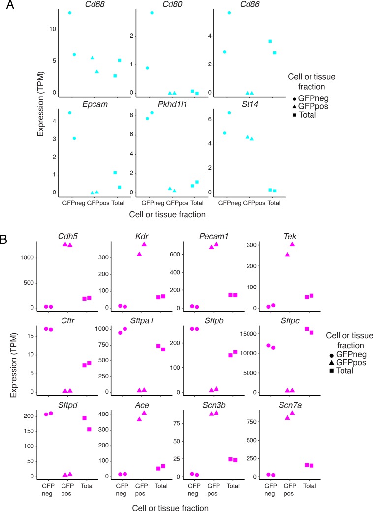 Figure 1—figure supplement 3.