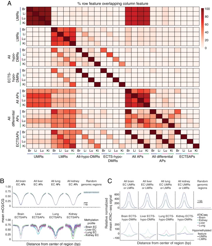 Figure 4—figure supplement 4.