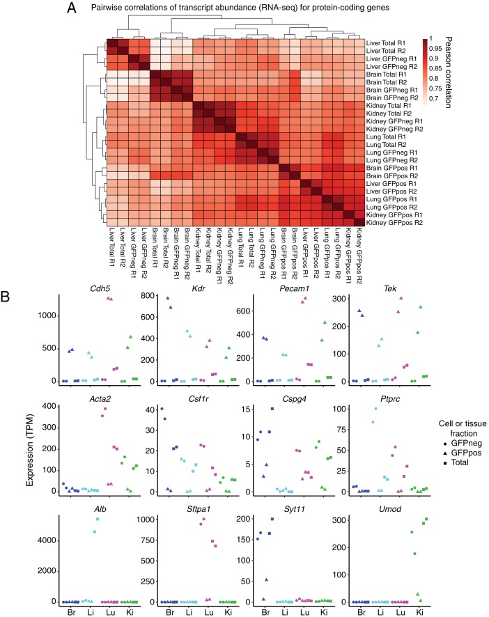 Figure 1—figure supplement 2.