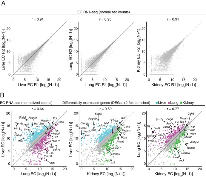 Figure 1—figure supplement 4.